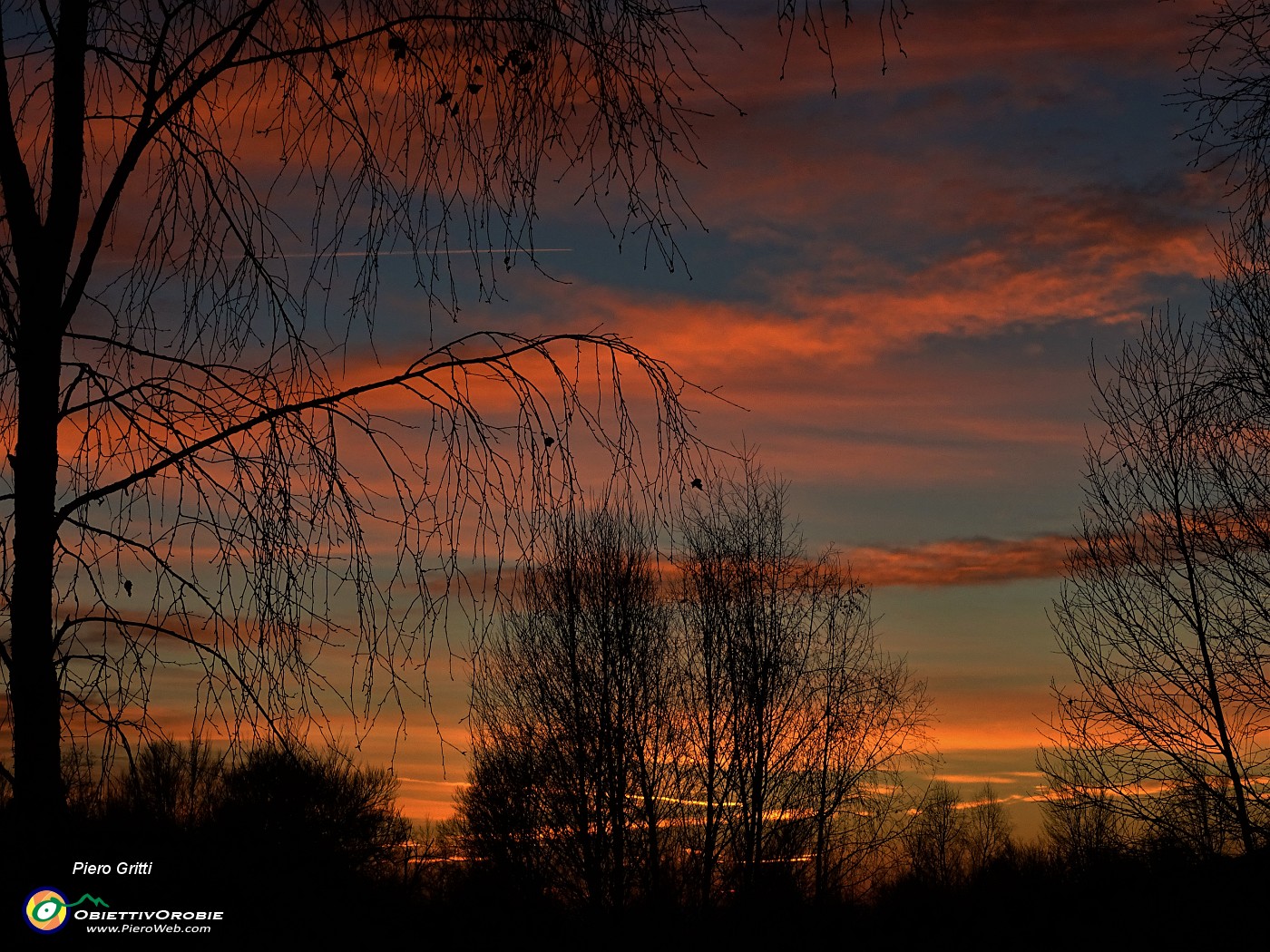 68 Betulle nei colori del tramonto.JPG
